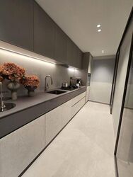 Havelock Road (D1), Apartment #462701101